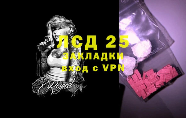 PSILOCYBIN Рославль
