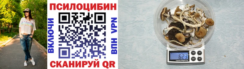 Галлюциногенные грибы Cubensis  закладка  Анива 